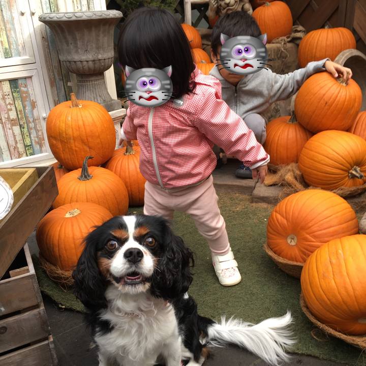 8db918d6 bc1c 49ff b040 8768ed132c0e