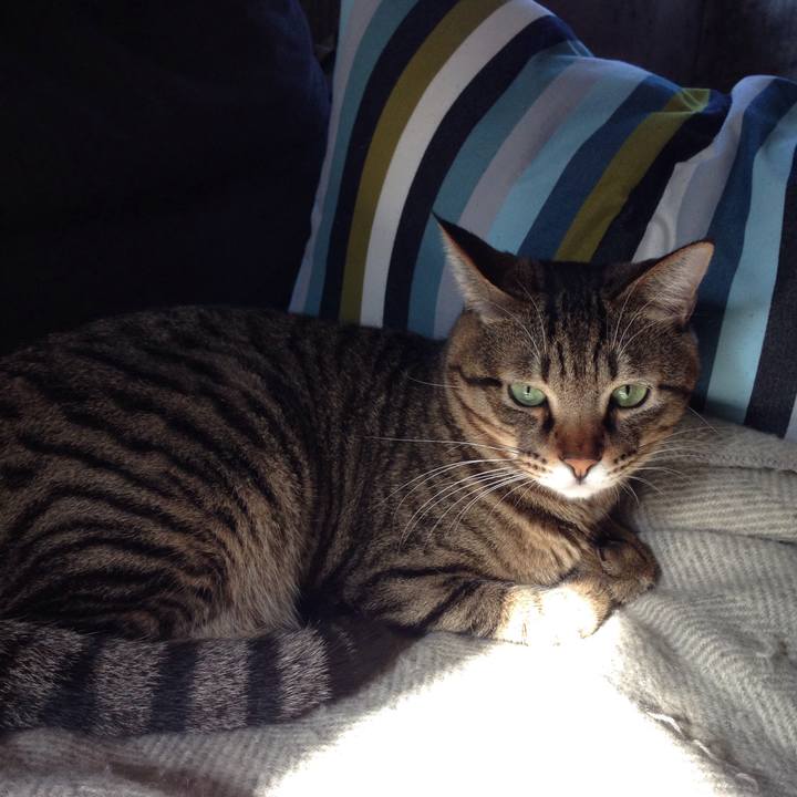 8db9a59b 923a 4e94 92ef c8853bd062cf