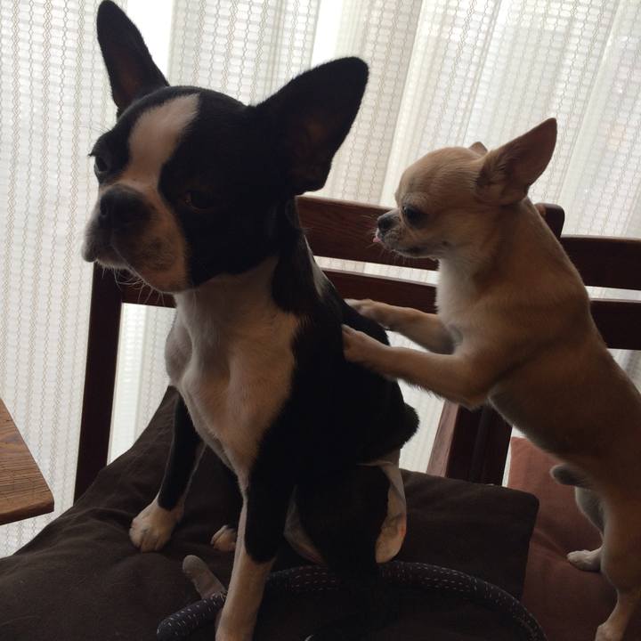 8dba0edf cc2d 4cdb a03c 71b93666bbea