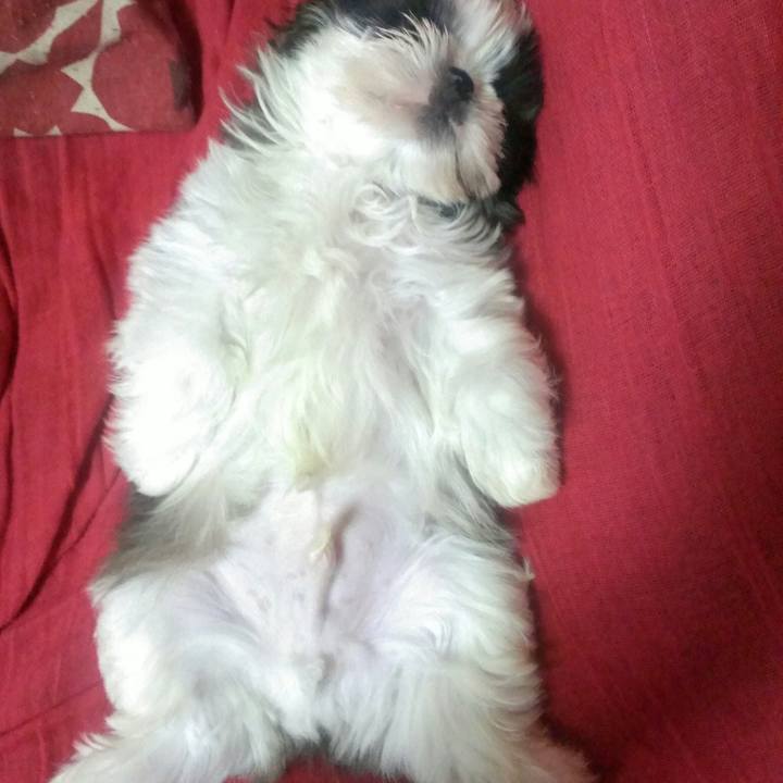 8dba687f bb4b 470b 91a3 232ffc8bf7e3