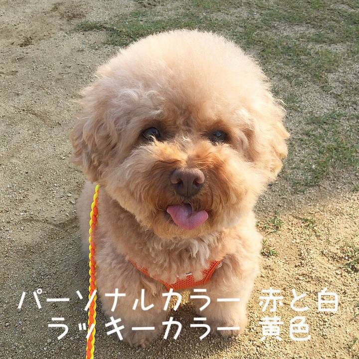 8dba6b3c 198a 491f bae2 9ade571b62e0