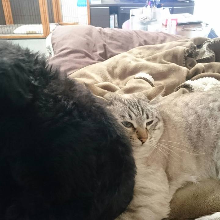 8dba8f35 3ce2 4574 b2a6 beeb4f395c70