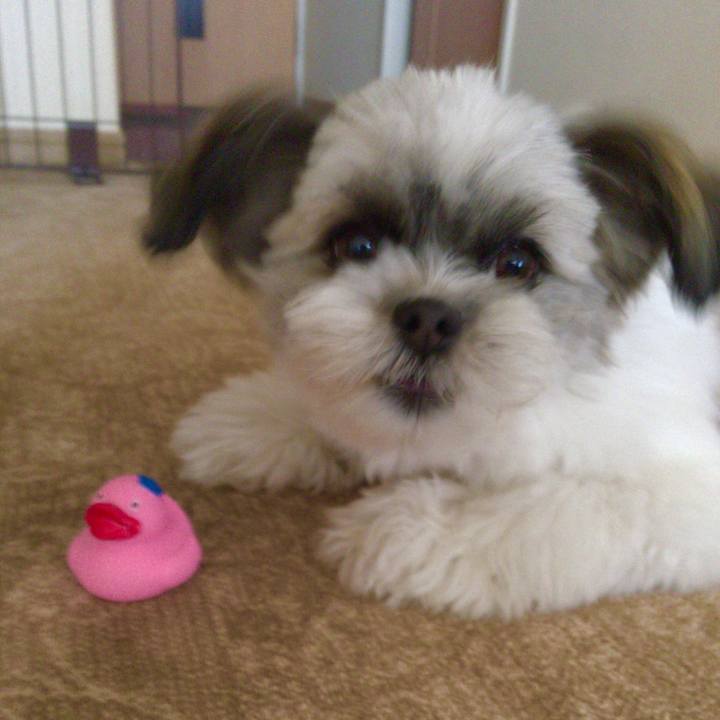 8dbad981 6172 43b1 b7f0 60823740dfde