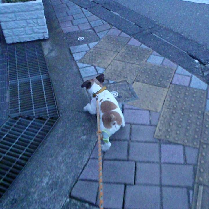 8dbadef2 1000 4335 849e a35b8d53e99e