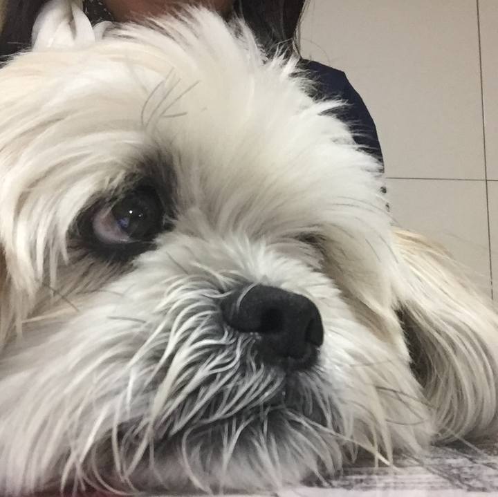 8dbb3959 092f 4871 9730 27b0fb1442ba