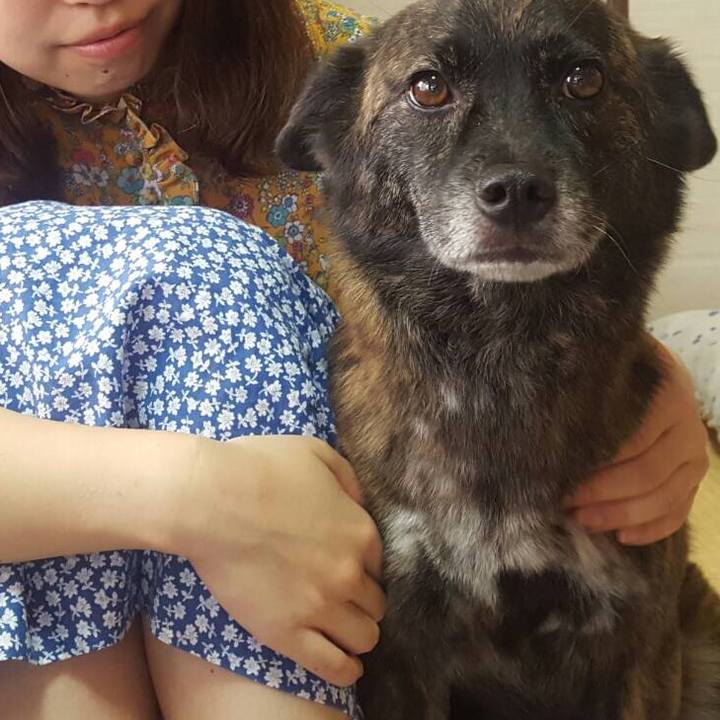 8dbb8745 659c 4a75 b5ce 7f5260f9b983