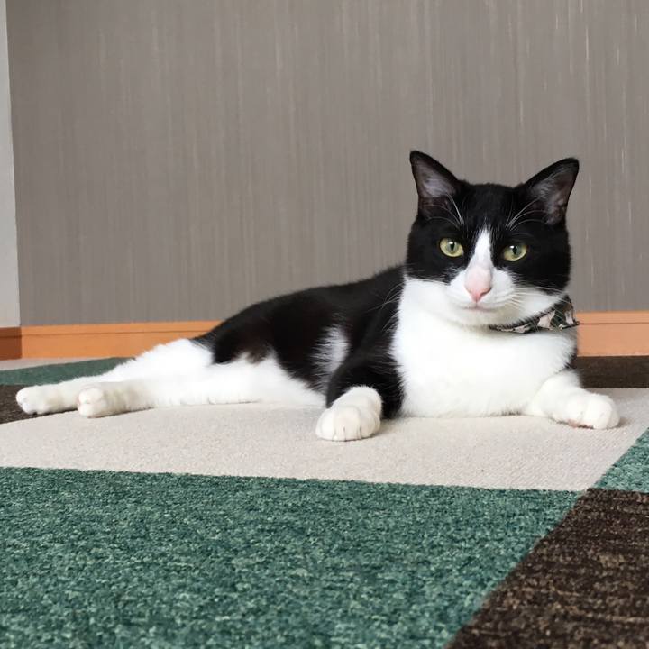 8dbd266c 1f50 4ed2 b67c f62c5140fb37