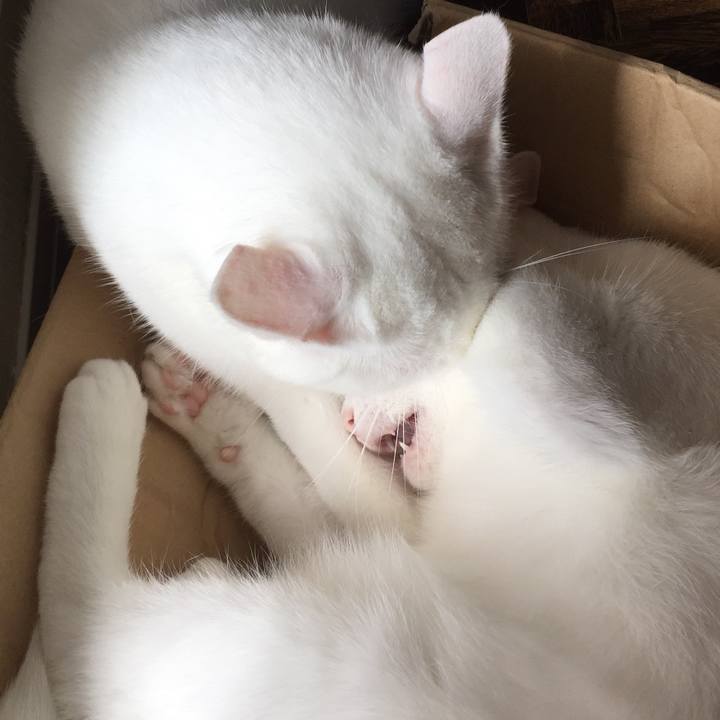 8dbdaaf9 5f9b 4db9 9600 cbeb0791fb20