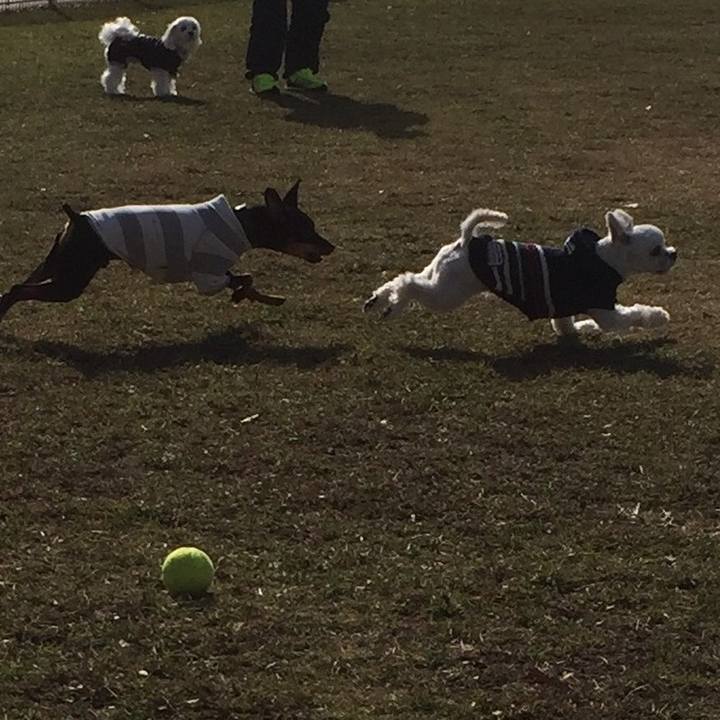 8dbe2cd1 6faa 4f8b ac06 9de6f039b40c