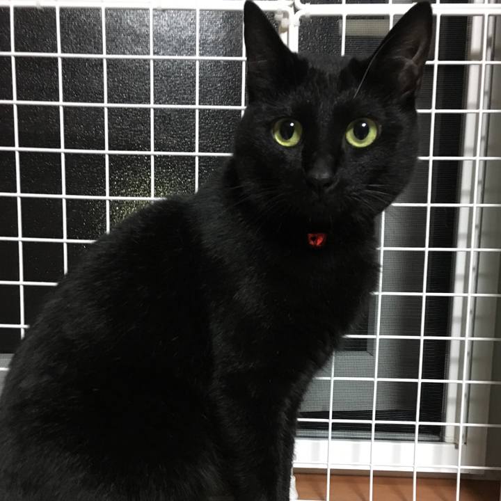 8dbe7d54 b6c5 4206 9c40 6e381ed40ac9