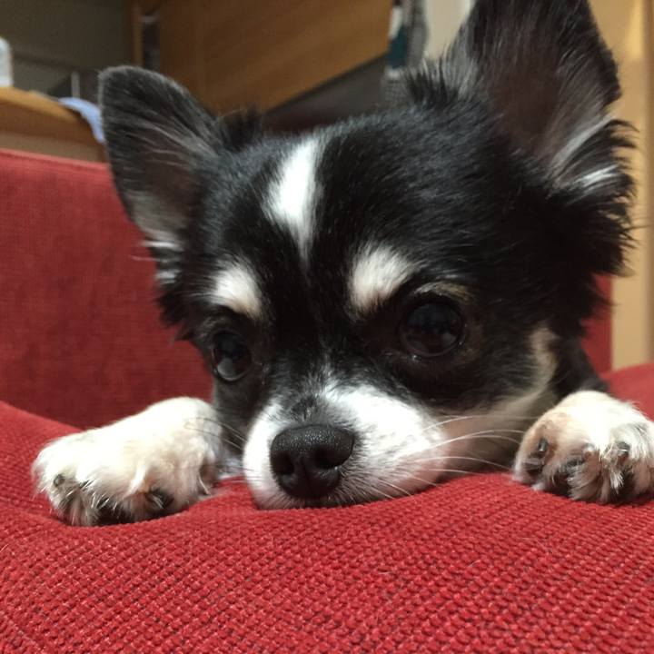 8dbeb810 2dfa 4f81 9c4e aa107ffe1cc3