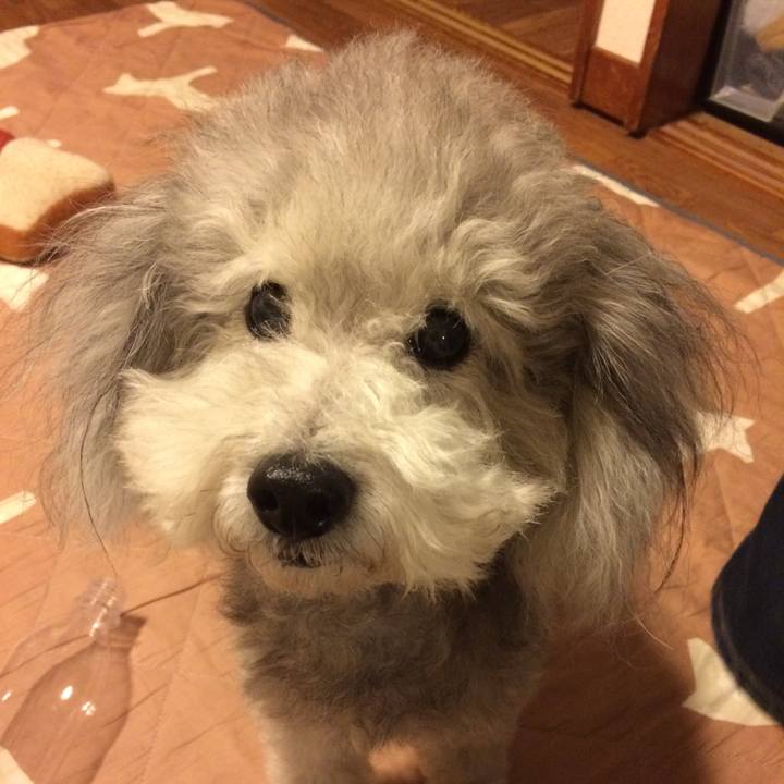 8dbed0e4 cfd2 4a35 815e f4f584a6250d