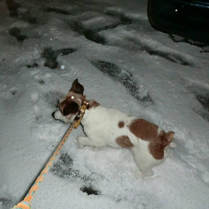 8dbed24f 859e 497f b375 9513b7c6fe55