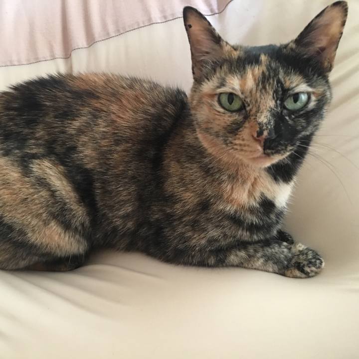 8dbeed9c e7d3 428a b07d 2c7b467946e5