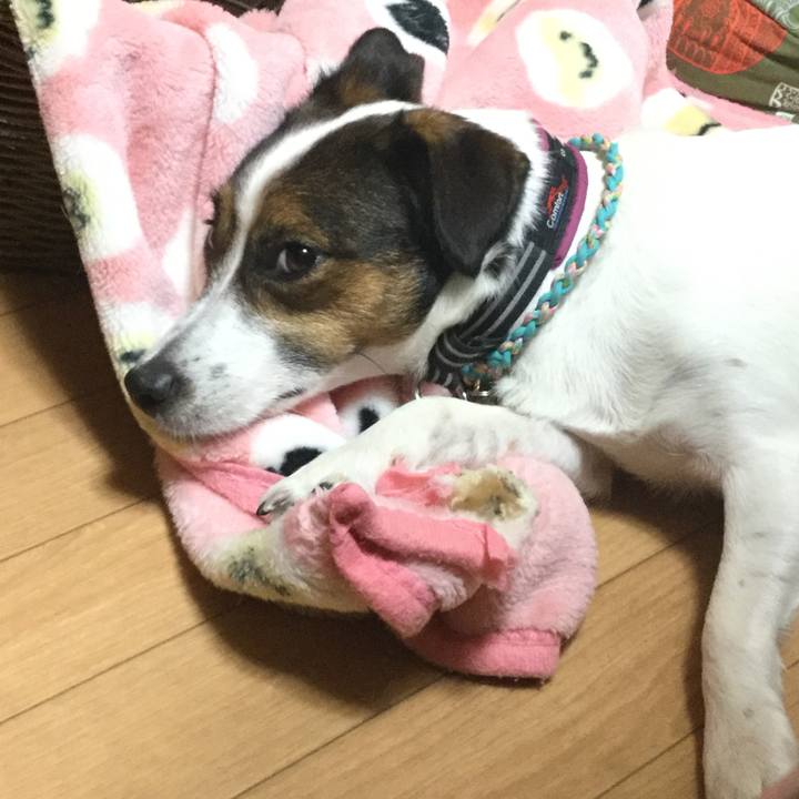 8dbfc2b8 fa89 4ed3 9a5c d80b7fc1aab1