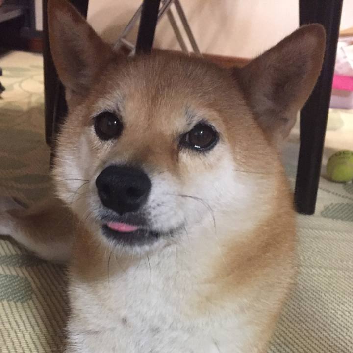 8dc11ea9 f0ec 4c55 8e67 c44dc609a46f