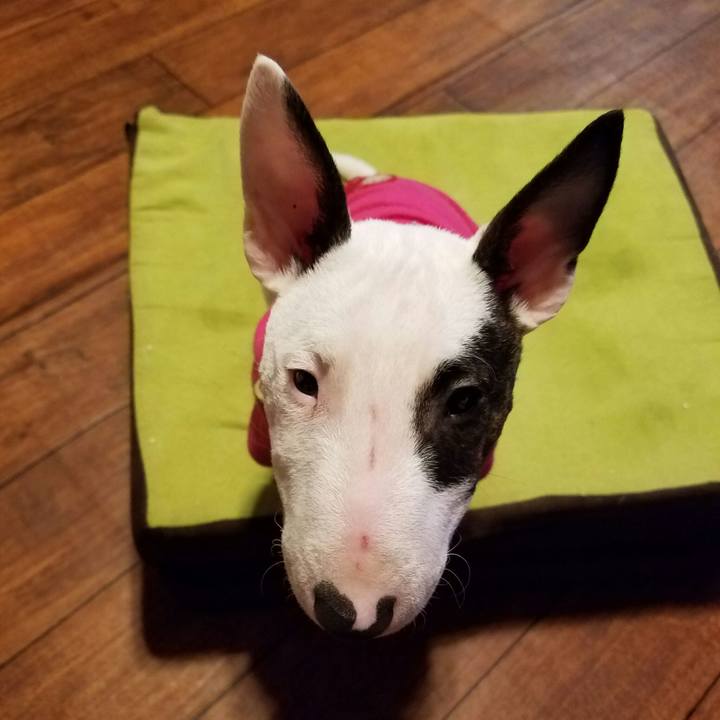 8dc1a2ac 5e65 491f 9480 fb9785adeb68