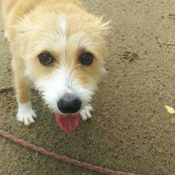 8dc1a9e9 5bd4 4021 852f 90ea59ad0c3e