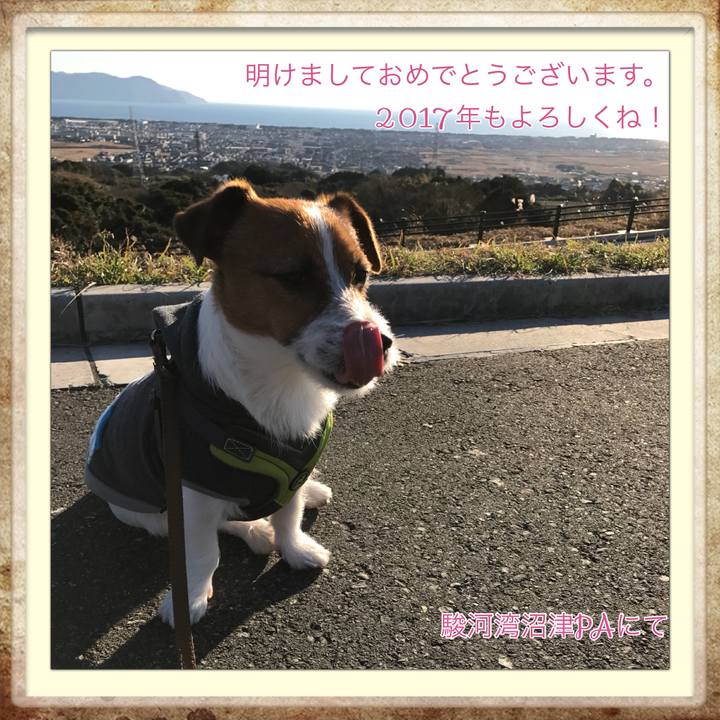 8dc277a6 e0ea 4758 8d58 60198e850228