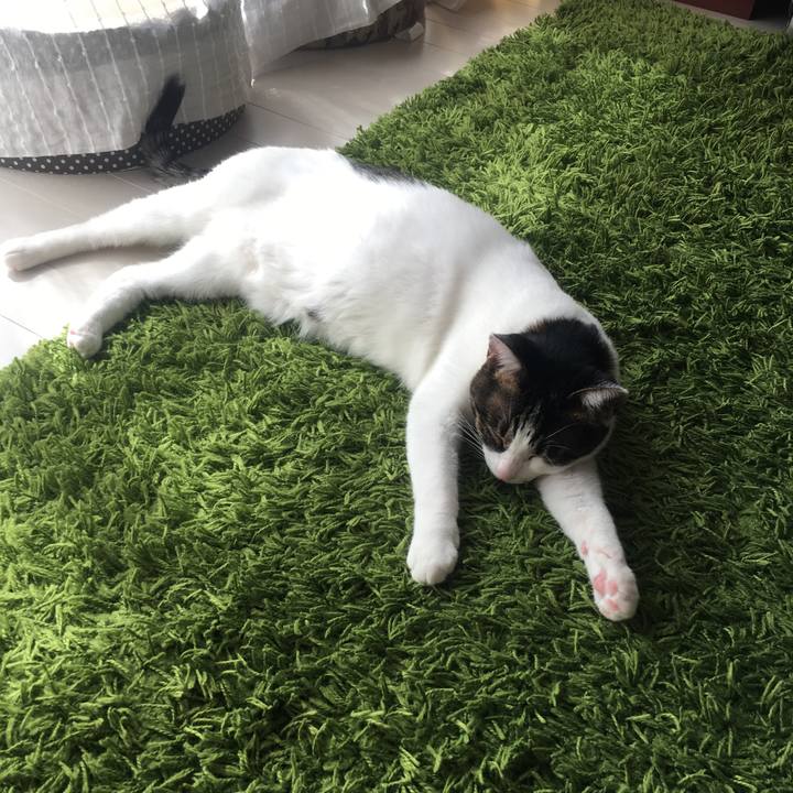 8dc31686 e49f 49d8 bd64 b484a274fc39