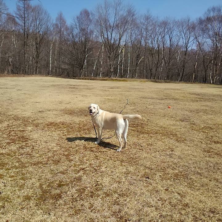 8dc33100 96f5 451b 9420 abb9fe319ce2