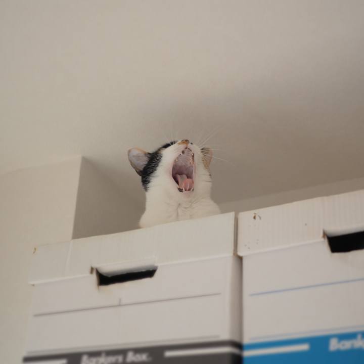 8dc344b1 487c 4c1f bf31 877c62a2ad78