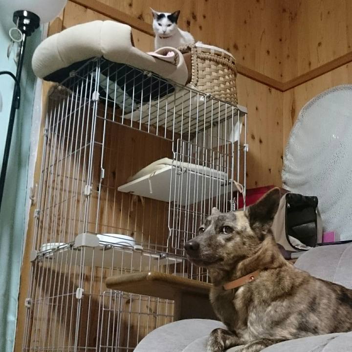 8dc3e454 eb6c 4224 9f26 5527a201ce20