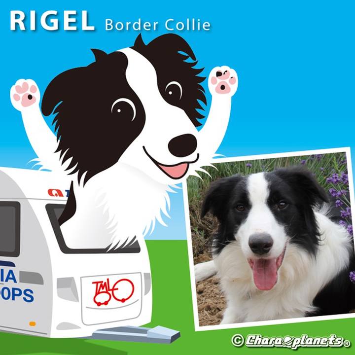 8dc4c5d3 464d 47bb 9cb9 d10da261fe0f