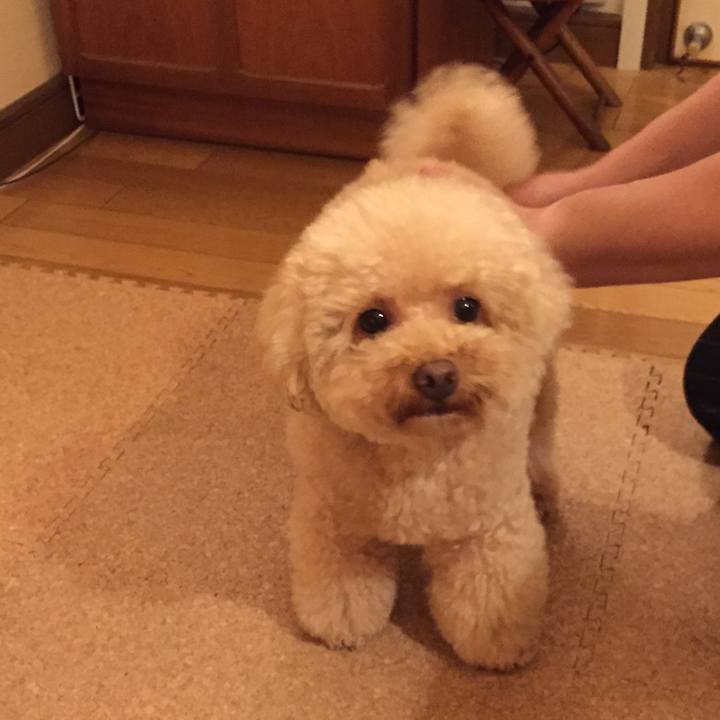 8dc4eb09 aa33 4c82 ae75 dace420cb361