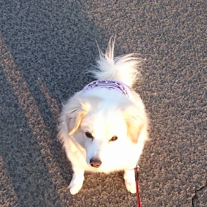 8dc56c33 d0fa 4e29 9441 beb8787235da