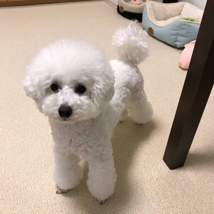 8dc59519 980a 4de4 aa6b 284802e28796