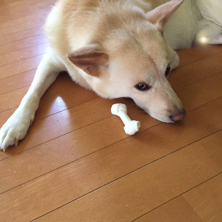 8dc59fdd 01dc 409a bd30 1214440445e3