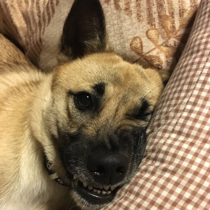 8dc5b06a 983c 4128 9821 95e61038312c