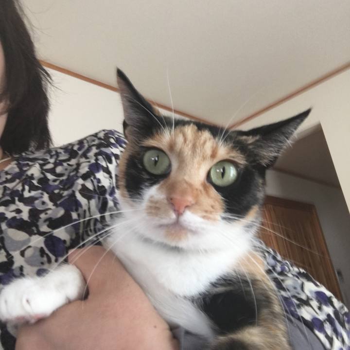 8dc5b2b9 9375 475d b844 f4490cf38e8e