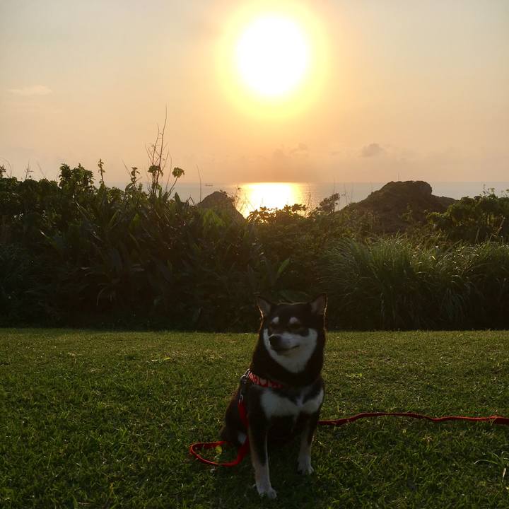 8dc5d408 f93c 45cb 978b c36c68dc04cf