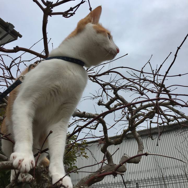 8dc5e5d4 bf43 4f43 9c5d 9b0d3eae315e