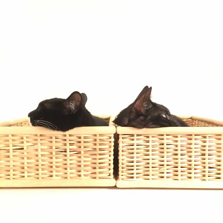 8dc64990 109b 4320 8e09 46096f1ffbf4