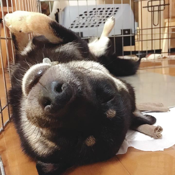 8dc73361 1812 45d0 8990 633d3bbb9daf