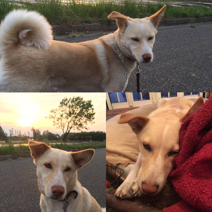 8dc774e6 a6d7 4991 8c4c 2fb755eea69f