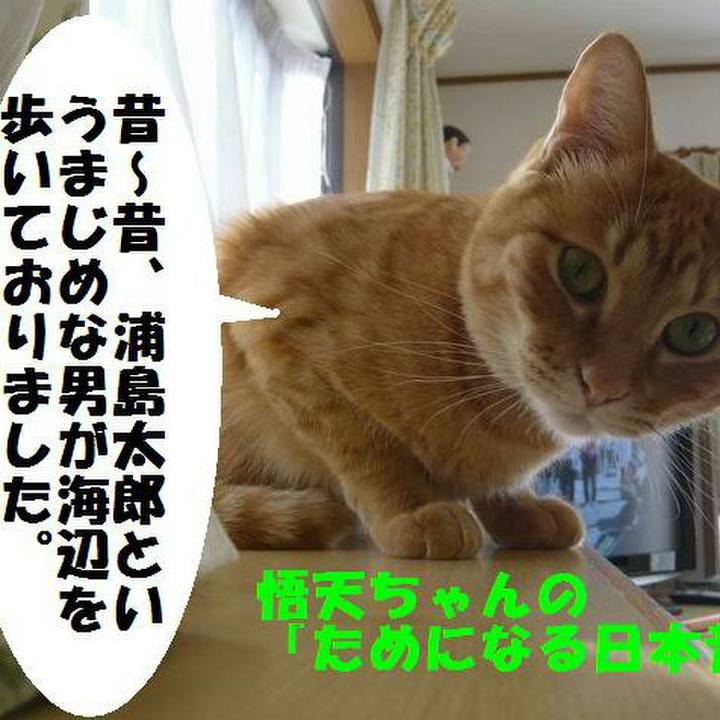 8dc831de 418a 480e b1b5 a9c1b61714e6