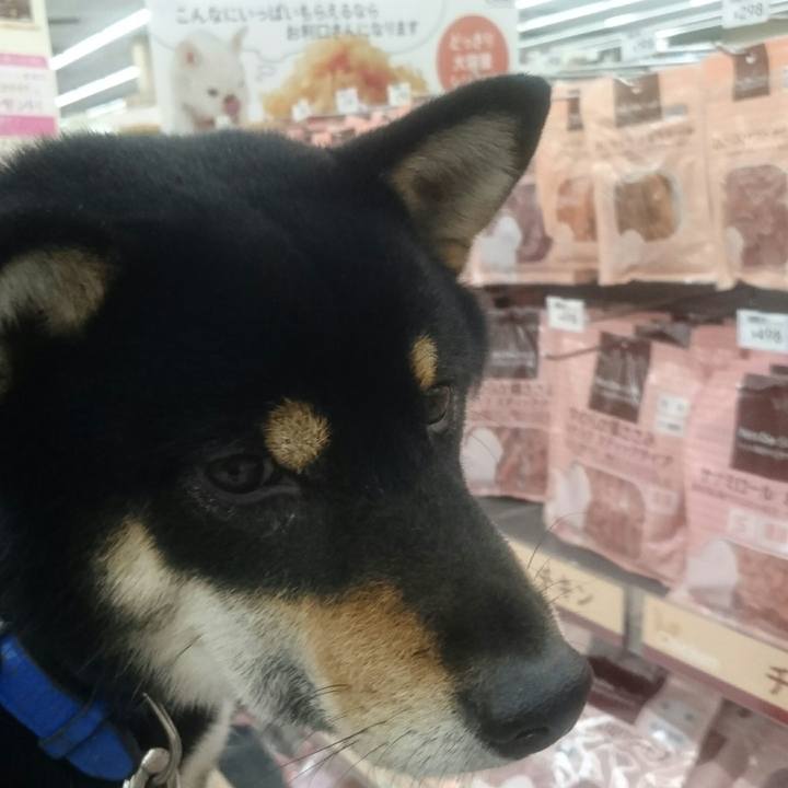 8dc871d3 5a70 4142 8480 0627b439fa5f