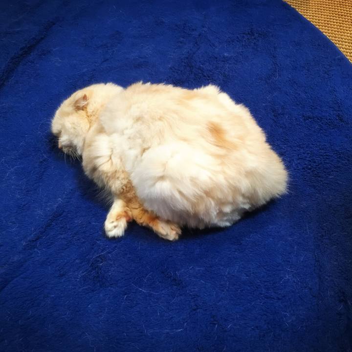 8dc92772 9a50 4e13 9919 1e9f1ee2e7a5