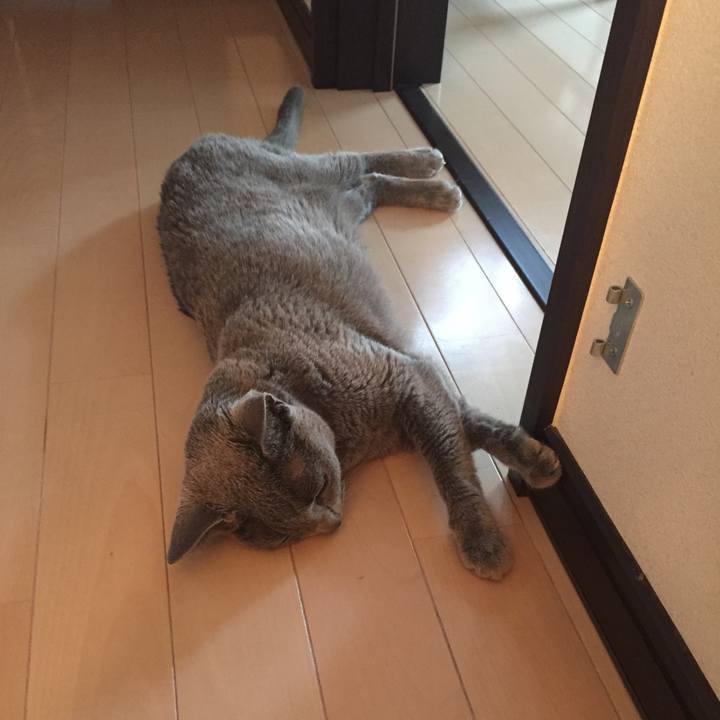 8dc94d62 6649 46f6 9eaf 9d1250be01a9