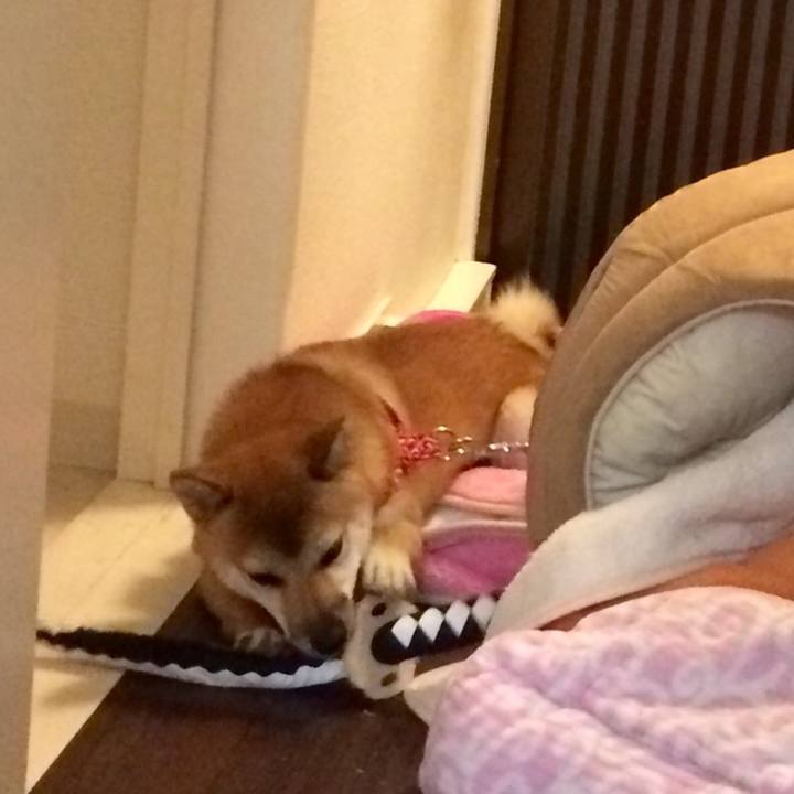 8dc9dba9 6293 4534 9c06 5b091ea60f09