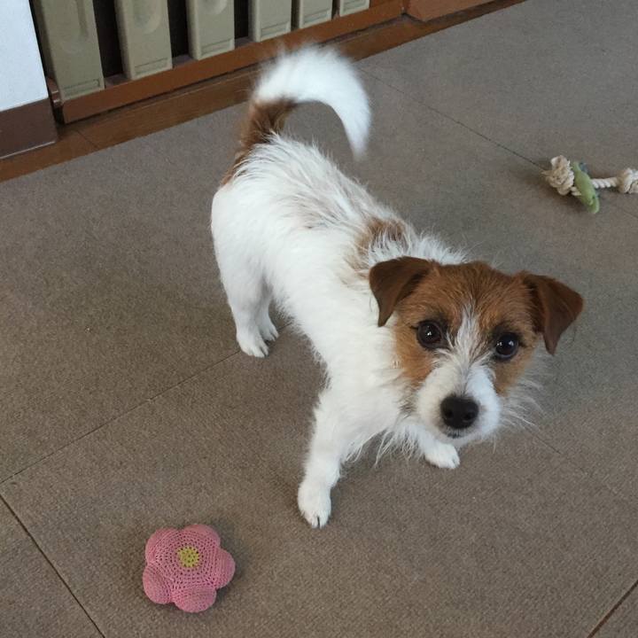 8dcaecac b7d9 4bcc a05b 056d55421e59