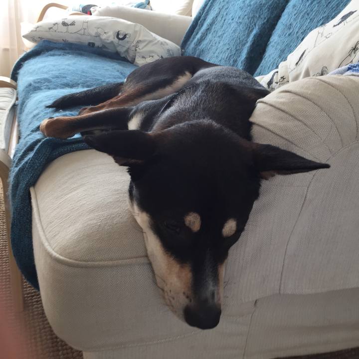 8dcb9dbc 4ab0 4638 bf10 3df81db44ddf