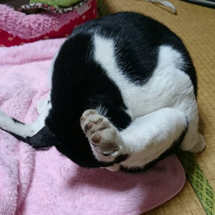 8dcba7d6 4160 4963 a0da 6aee94b833cf