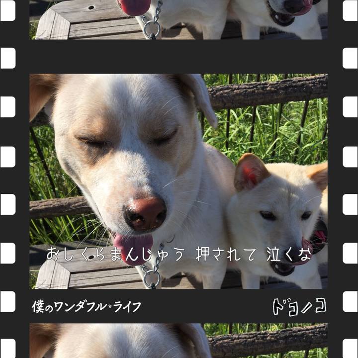 8dcd18f7 2395 4b03 969e 7d62e5904131