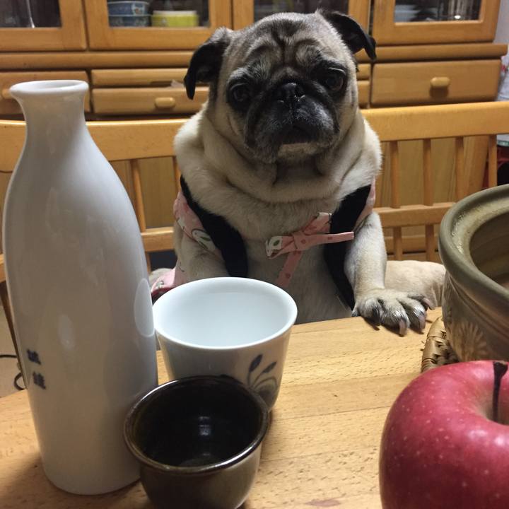 8dcdc9d8 ca45 4350 9952 5bb26153ce5a