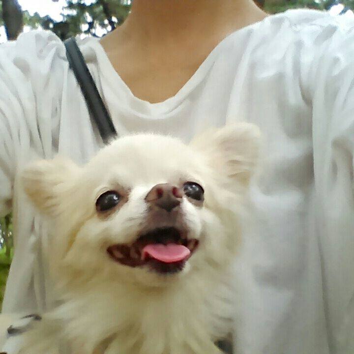 8dce1dc6 b9da 499b a037 13b098b139e9